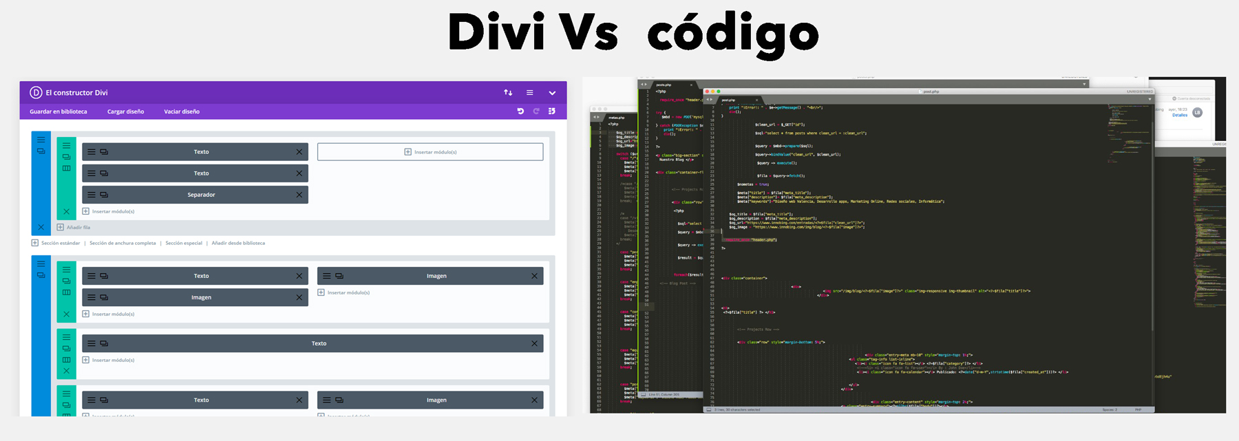 WordPress Divi Vs. código